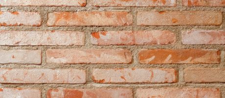 Dogi - Slideshow Banner