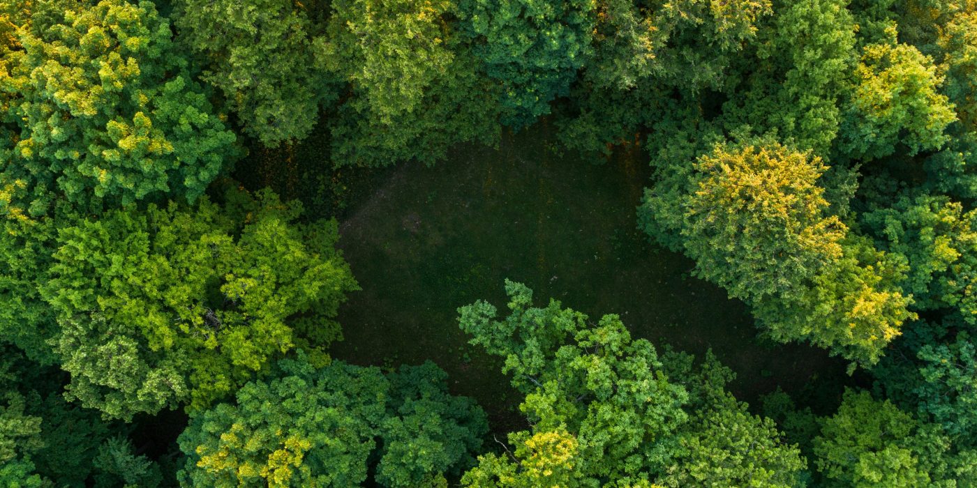 Aerial view of forest and hill
