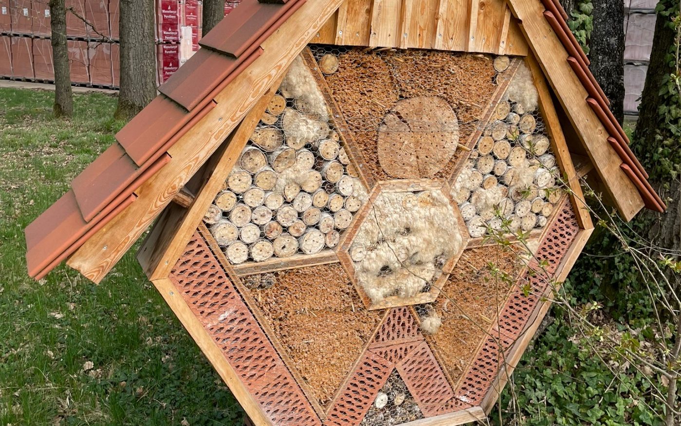 Biodiversitätsaktionswoche 