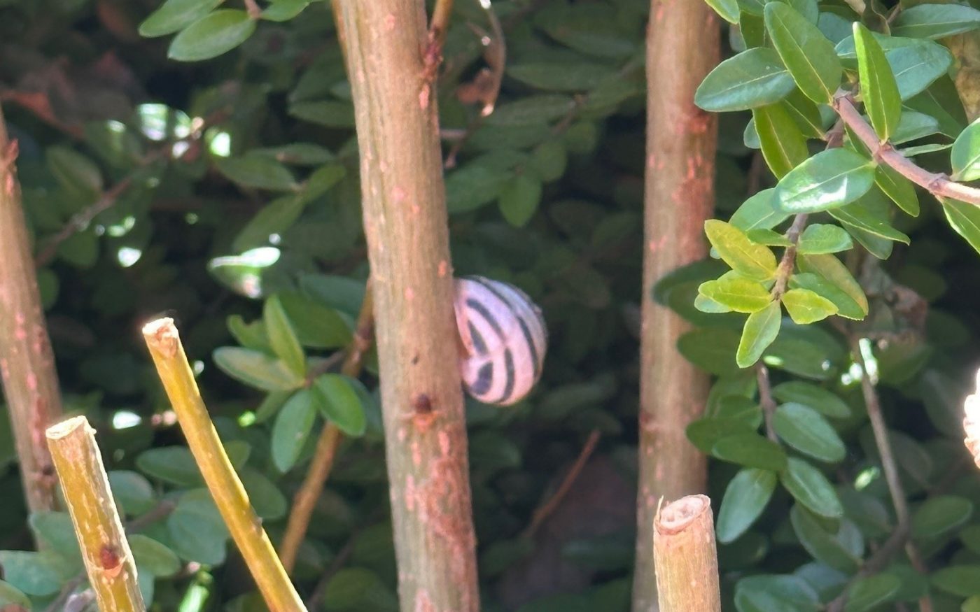 Biodiversitätsbegehnung Werk Hennersdorf
