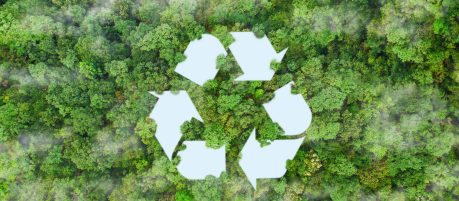 environment sustainable circular economy for future growth of business Carbon neutral and net zero environment A climate-neutral long-term strategy greenhouse  targets on nature background