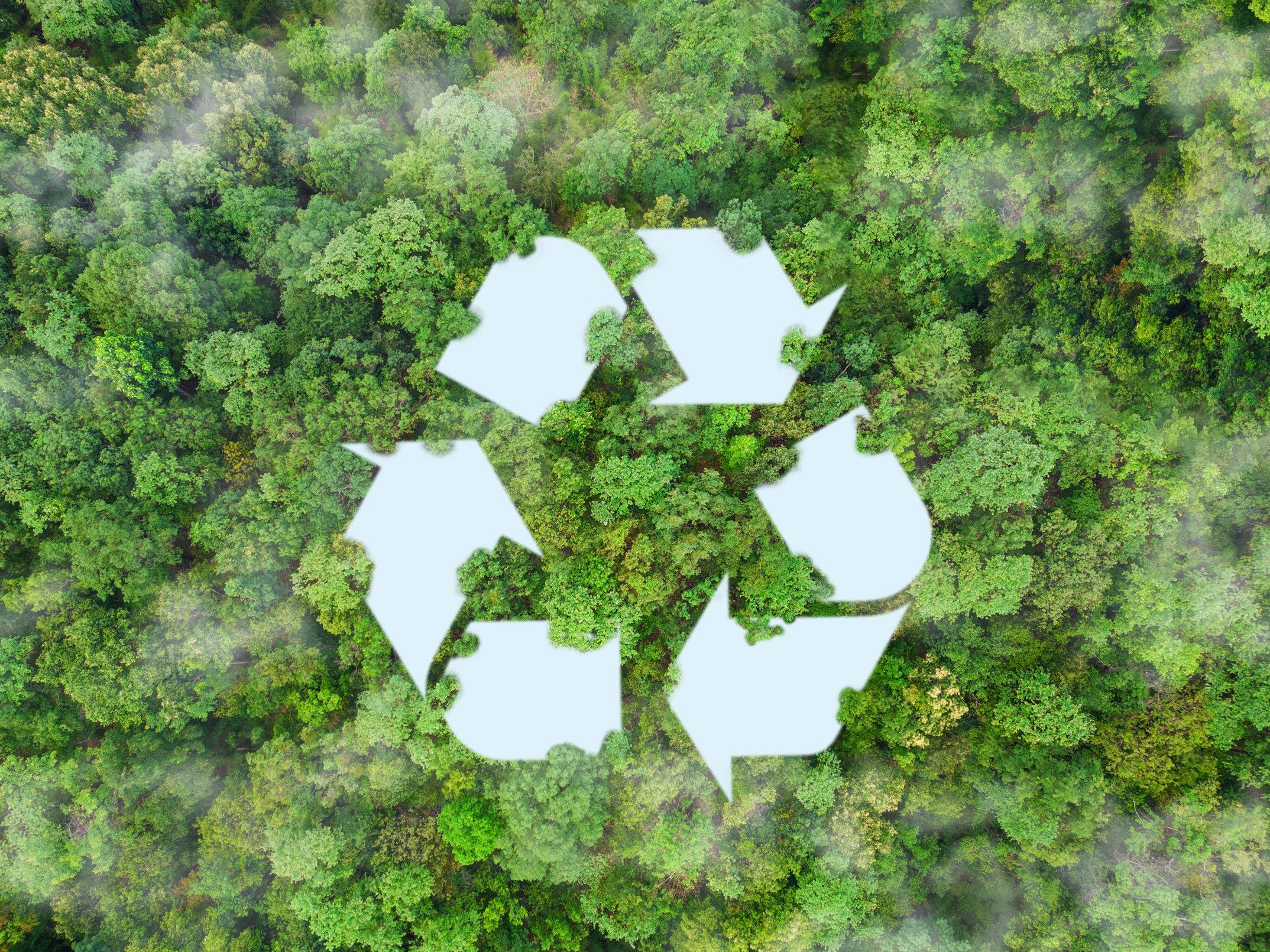 environment sustainable circular economy for future growth of business Carbon neutral and net zero environment A climate-neutral long-term strategy greenhouse  targets on nature background