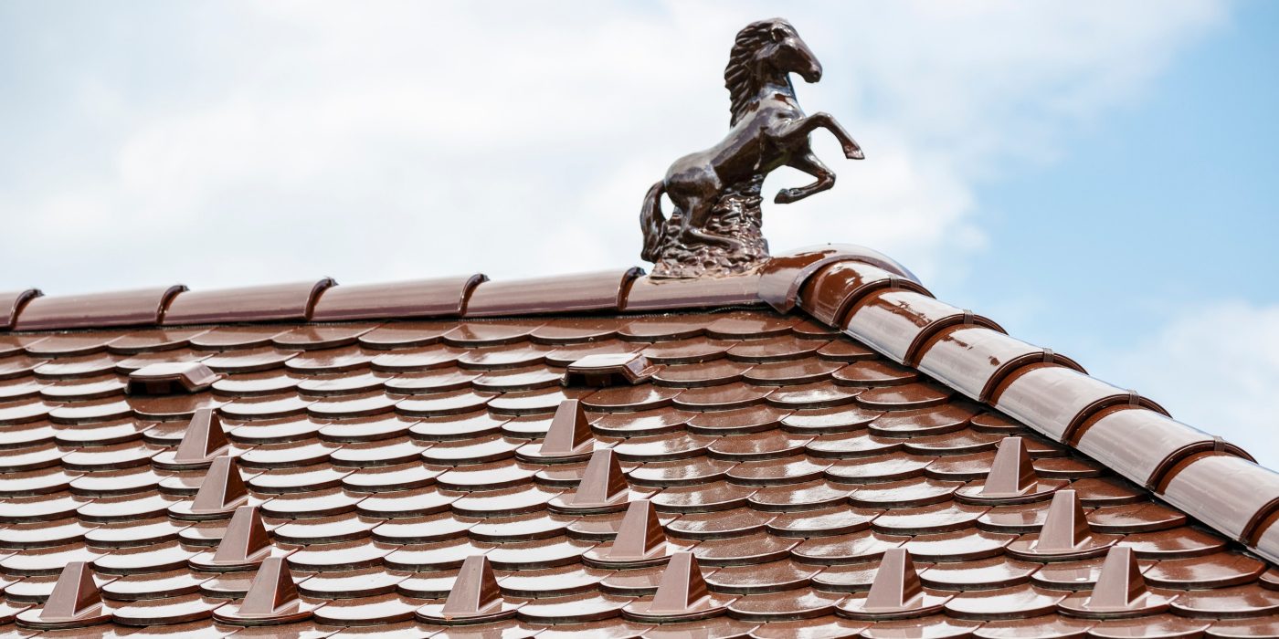 Reference photo of single house in Rosina 05