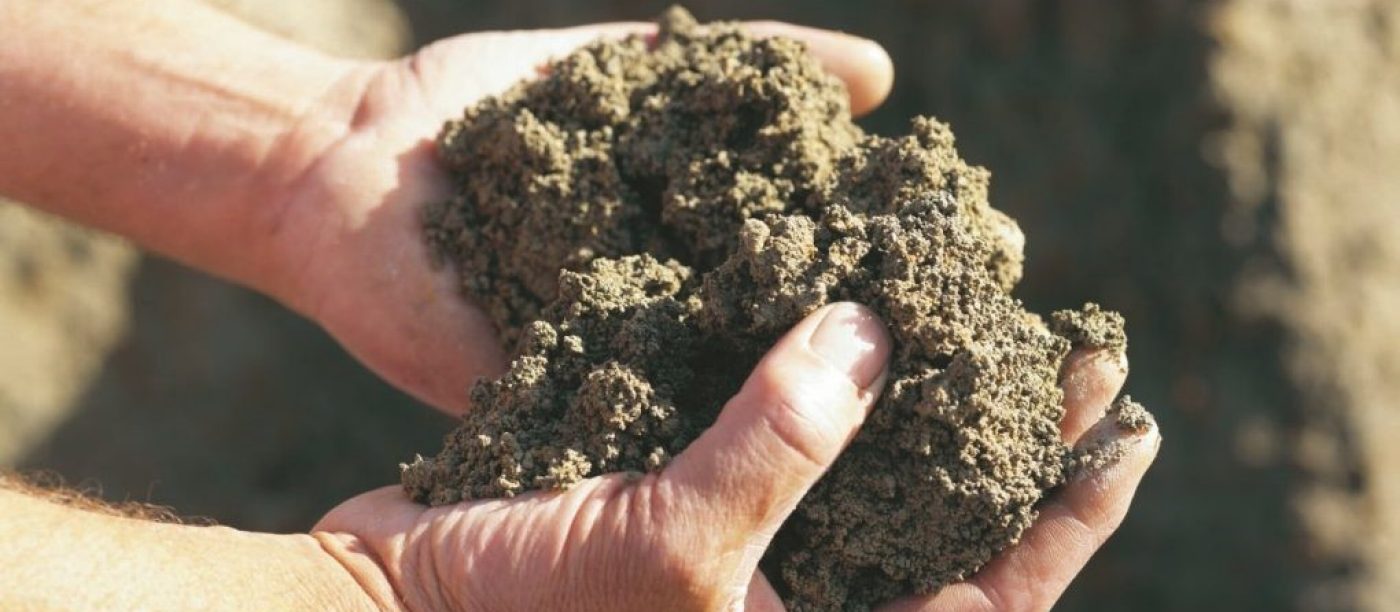 Ziegel – ein Baumaterial der kurzen Wege